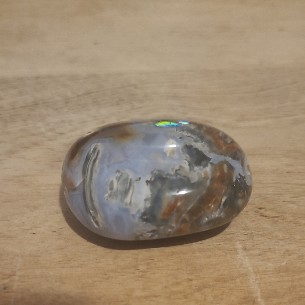 Polished Agate Palm Stone